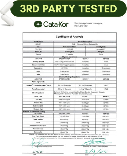 High Purity NAD Supplement for Anti-Aging, Energy Supplements, Focus - 60 Capsules